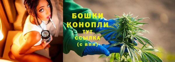 PSILOCYBIN Баксан