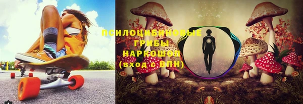 apvp Армянск