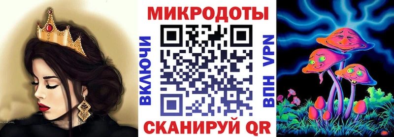 Купить где  Дальнегорск  Галлюциногенные грибы Psilocybe 